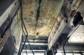 Best Environmental Consulting for Mold Prevention  in Orange, CA